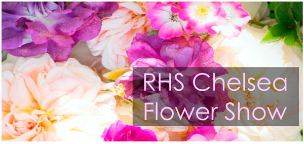 Результаты RHS Chelsea 2016